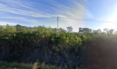 469746050279